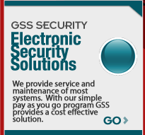 Electronic Security Solutions